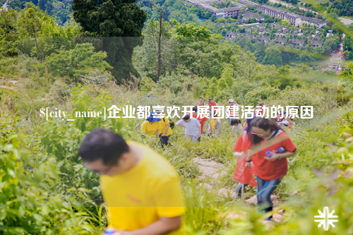 乐山企业都喜欢开展团建活动的原因